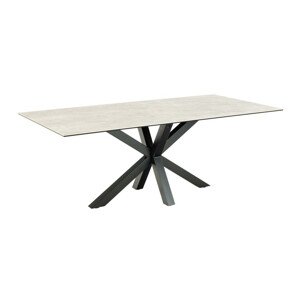 Asztal Oakland 505 (Világosszürke + Fekete)