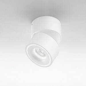 Egger Clippo LED spotlámpa sínre dim-to-warm fehér