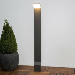 Nevio - LED ösvény lámpa 100 cm