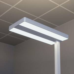 Logan - LED irodai állólámpa fényerő-szabályozóval